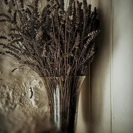 Lilyum - Tas Ev לינה וארוחת בוקר