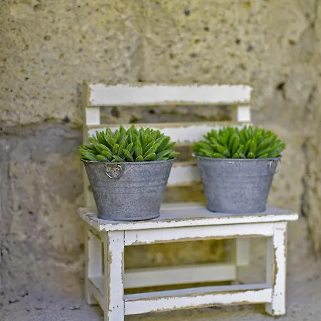 Lilyum - Tas Ev לינה וארוחת בוקר 3*