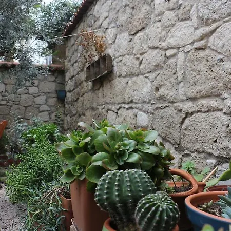 Lilyum - Tas Ev Alaçatı