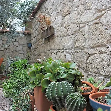 Lilyum - Taş Ev 3* Alacati